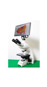 Leica 三眼生物顯微鏡+影像系統