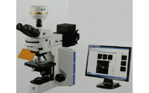全波長螢光顯微鏡