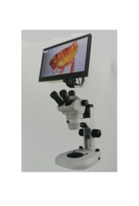 三眼解剖顯微鏡+影像系統