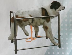 特大型 100x58x64cm