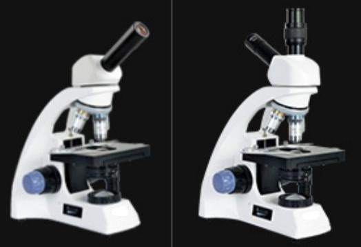 TA500 單眼LED複式顯微鏡