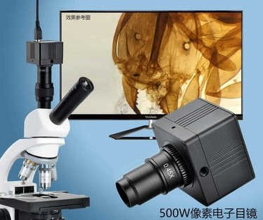 TA500 單眼LED複式顯微鏡