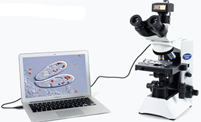 顯微鏡專用數位相機